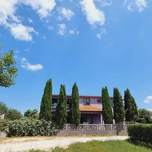 https://apartmani-nika-1.hotelinzadar.com